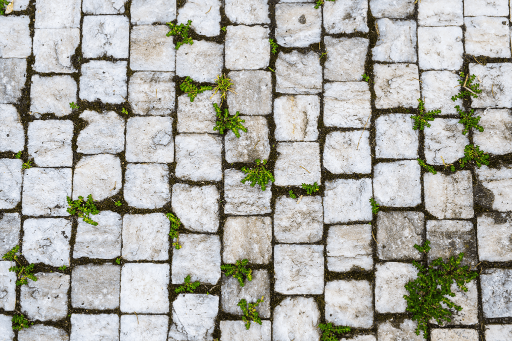 Paver Restoration 101: Protect your Investment